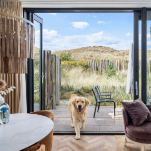 ferienwohnung-niederlande-am-meer-mit-hund-und-garten